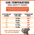 Parked Car Auto Temperature